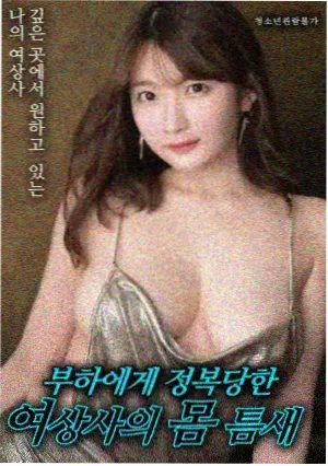 连载更新表条目 回声测绘 封面